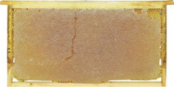 Ohçor Balı - Kaçkar Petek Balı 1 Kg